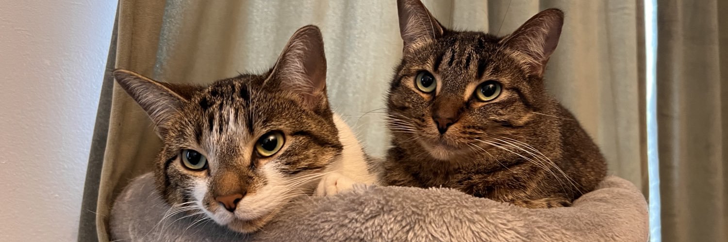 Gabriela 🧚🏻‍♀️ banner