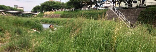 MinoruOkadaV Profile Banner