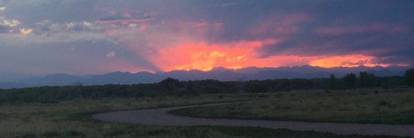 DomCristinzio Profile Banner