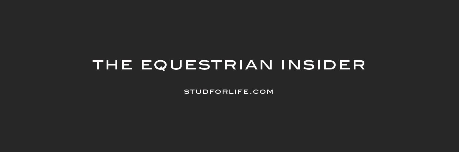 Studforlife 🇬🇧 banner