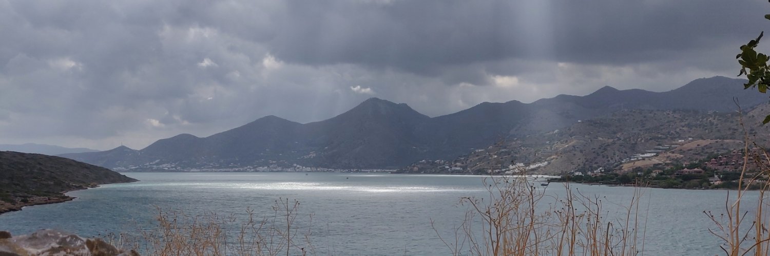 Stephania Assimopoulos banner