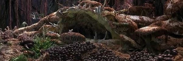 Fizzgig banner