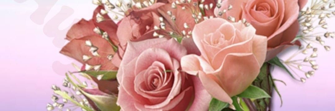 PetrelliR's profile banner image