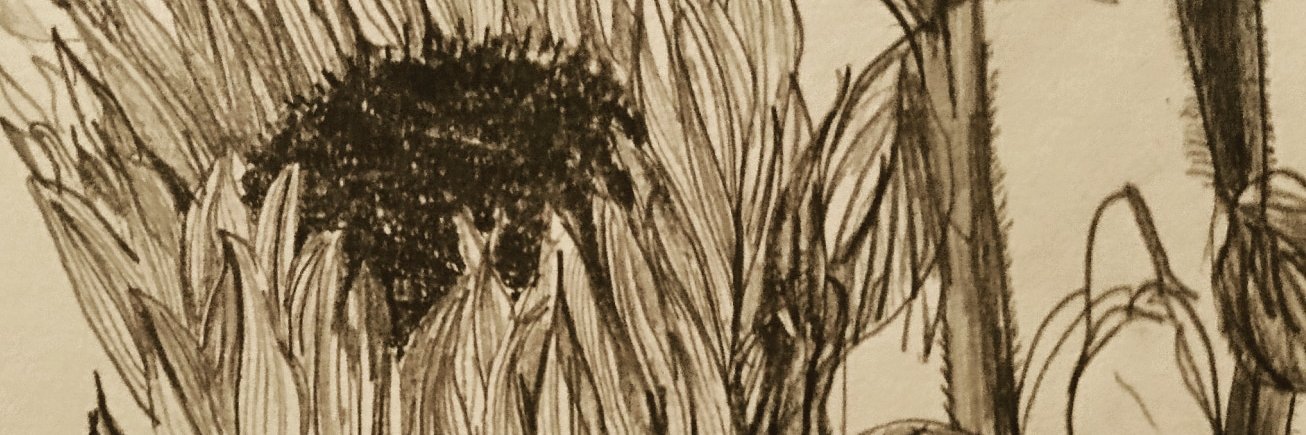 JimGoreham's profile banner image