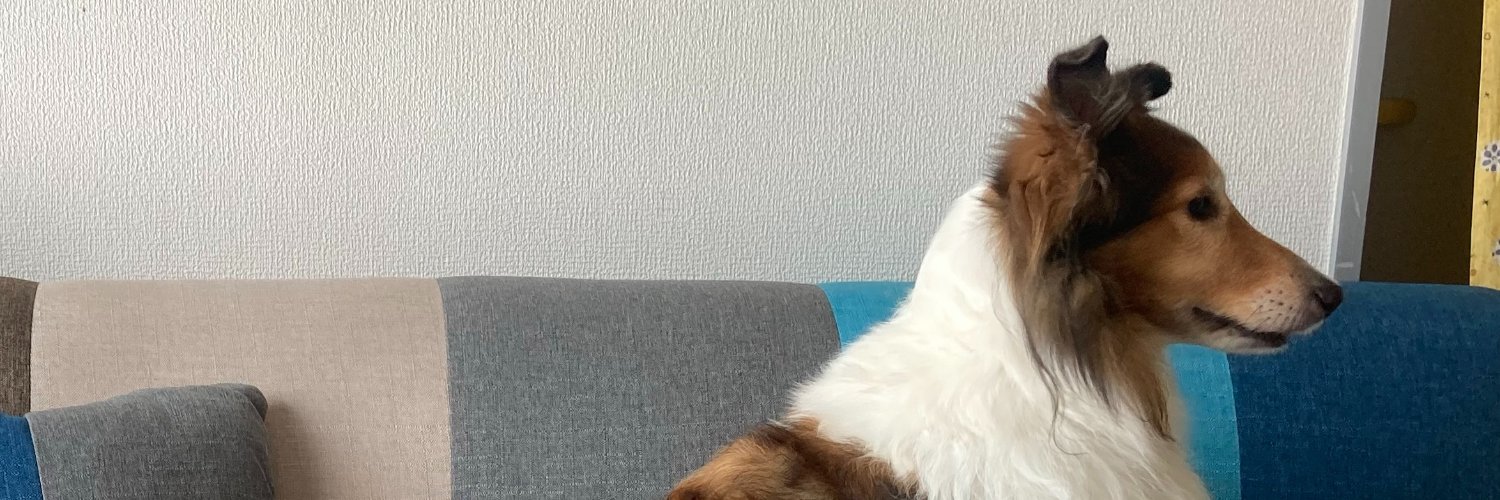 Bleuleu's profile banner image