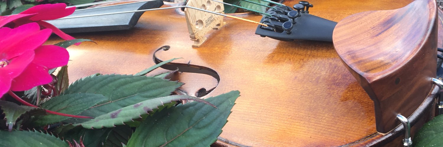 healthyviolin's profile banner image