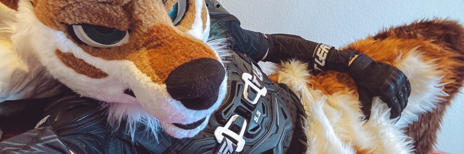 TraxAD @ ANE, NFC, FWA banner