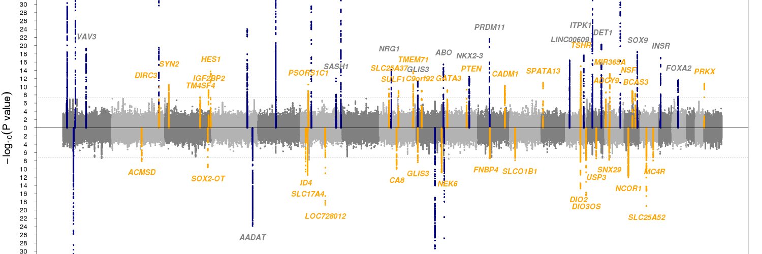 Alexander Teumer banner