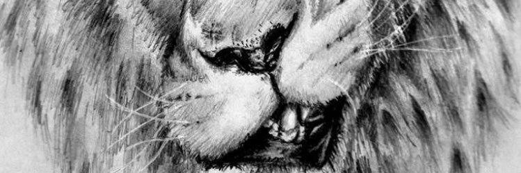 Square028's profile banner image
