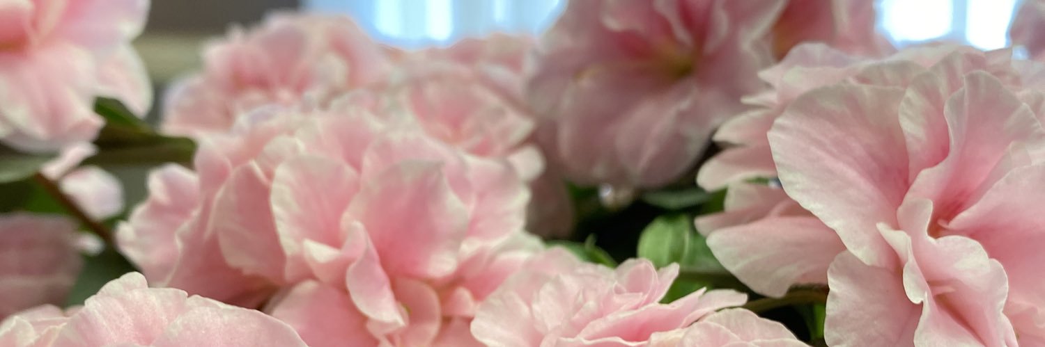 lexien_art's profile banner image