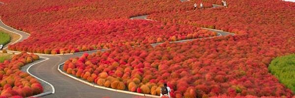 abuhannan's profile banner image