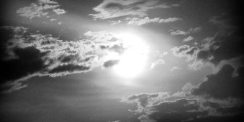 Homero Gaytán banner