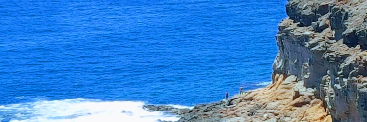 Condición Canalla banner