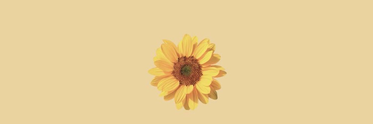 safiya_19's profile banner image