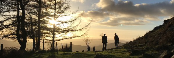 lizzymacphie Profile Banner