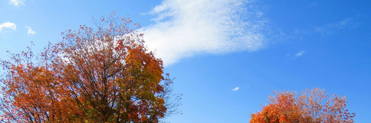 S_Nora17's profile banner image
