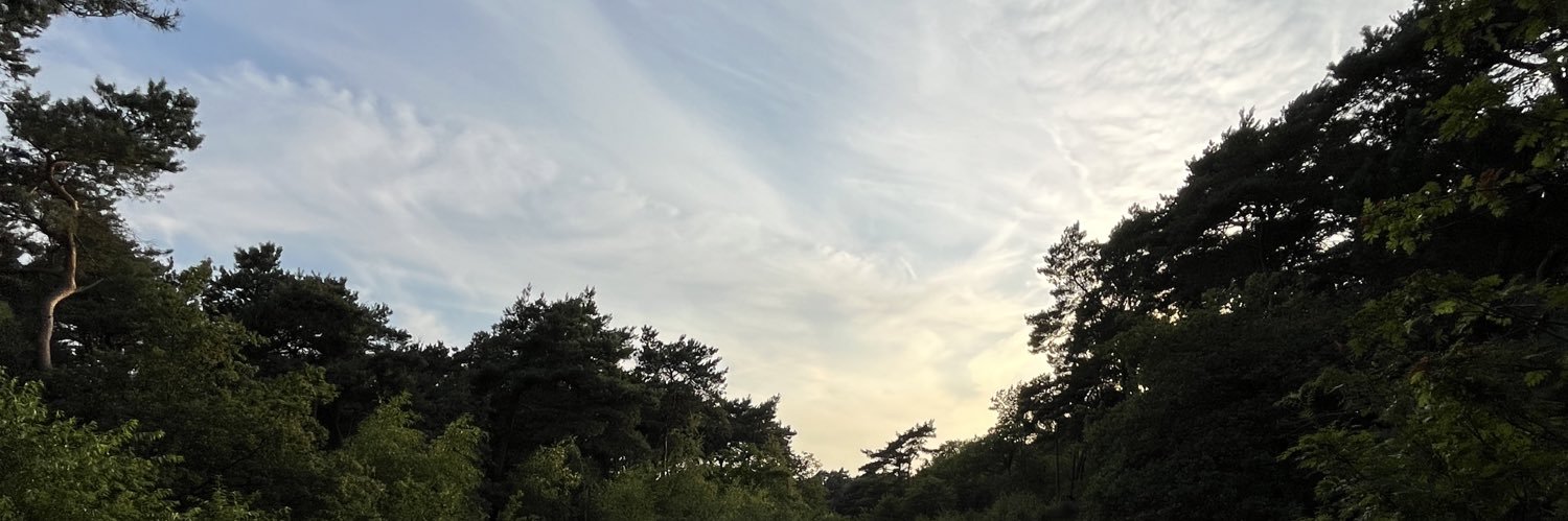 mwolff__'s profile banner image