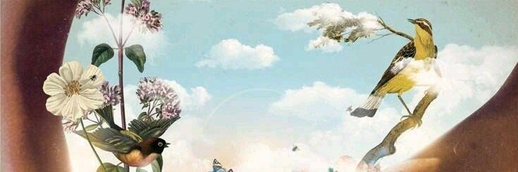 MaiteLanzidey's profile banner image
