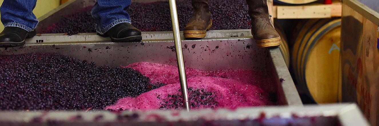 Sparkman Cellars banner