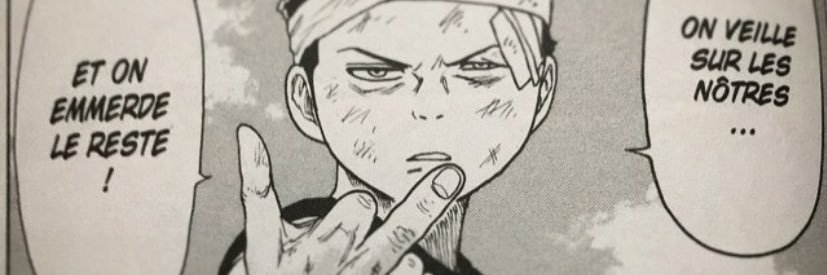 pipo banner