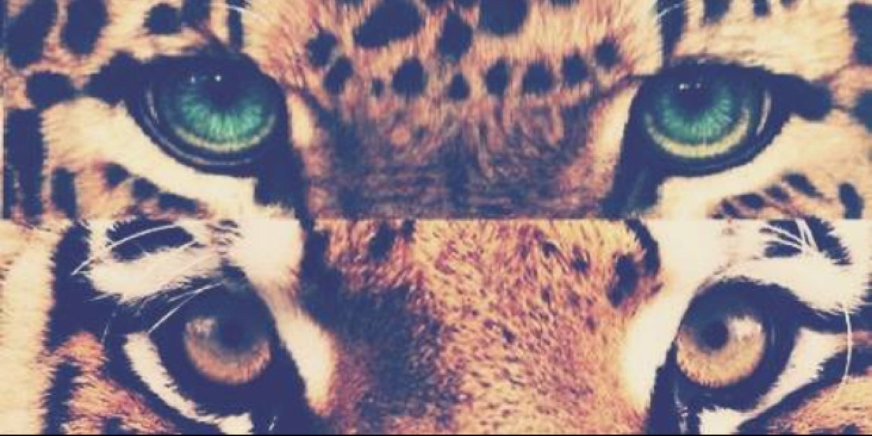 MeganOnRepeat13's profile banner image
