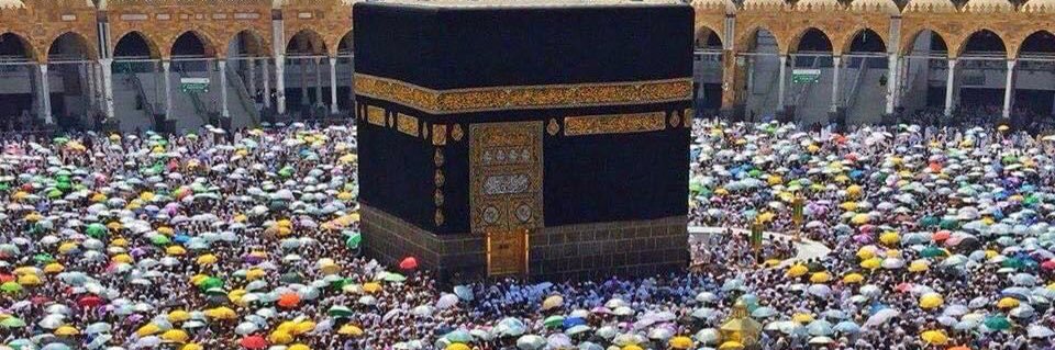 احمد باهديب banner