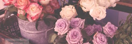 alejandra_s00's profile banner image