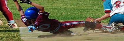 Manly Warringah Softball Association banner