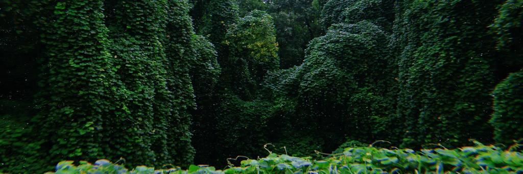 JadeHalleyB's profile banner image