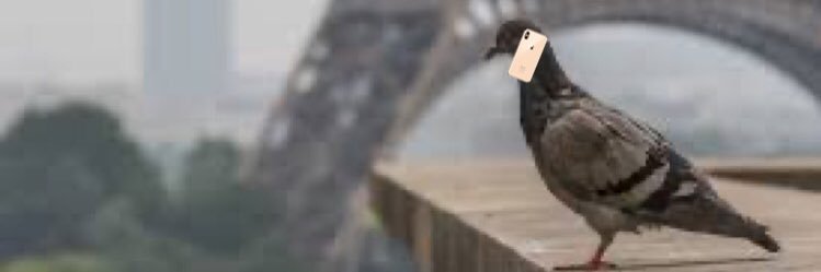 Jeff 👺 banner