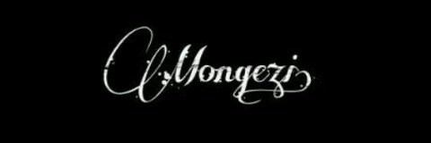 Mongezi🗯 banner