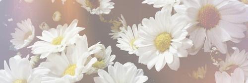 Carol Mattos banner