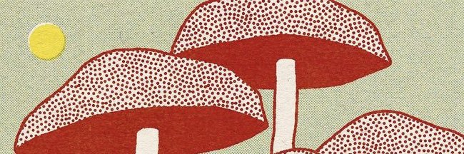 ohkacey's profile banner image