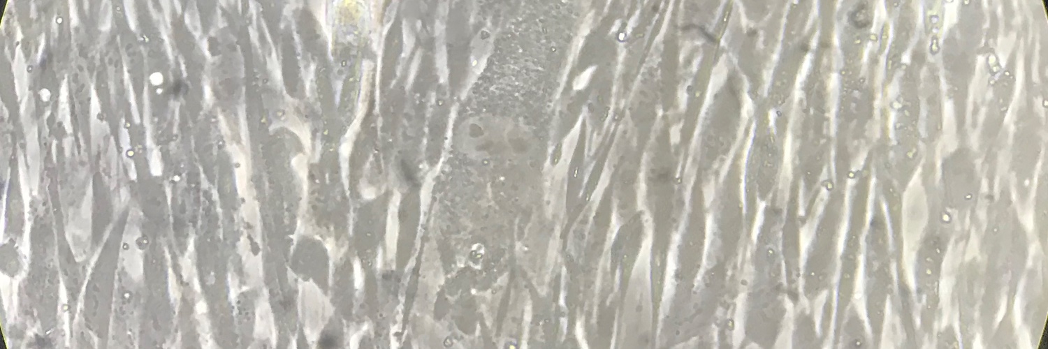 AngelaSant08's profile banner image