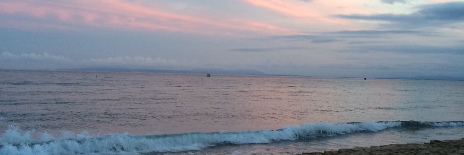 LovisaPigg's profile banner image