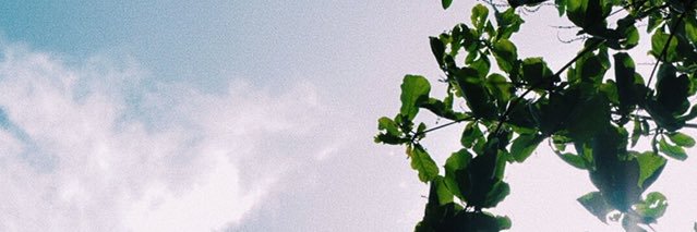 melivic1's profile banner image