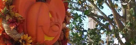 oneruffsea's profile banner image