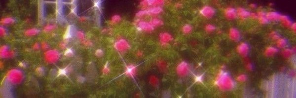 BunniDaBabi Profile Banner