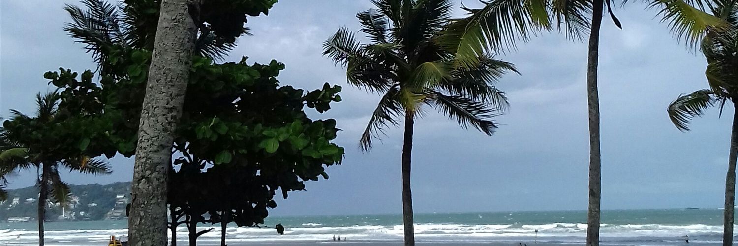 RenataARA40's profile banner image