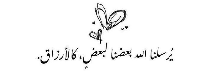 Amira_sayed31's profile banner image