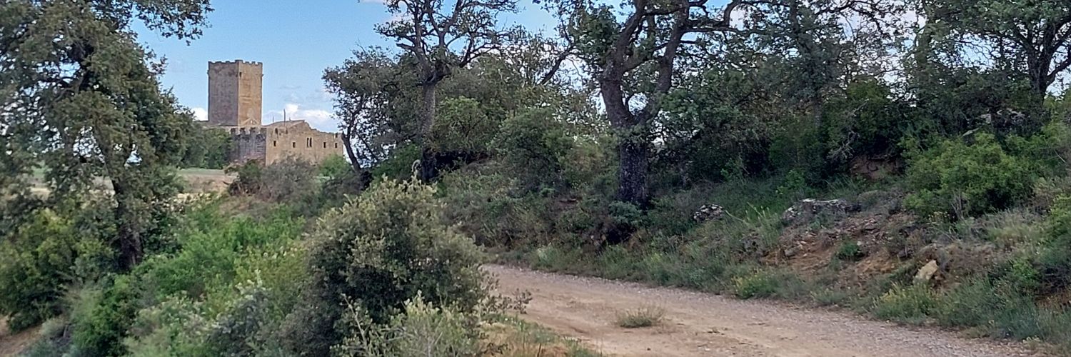 Camins de Sikarra banner