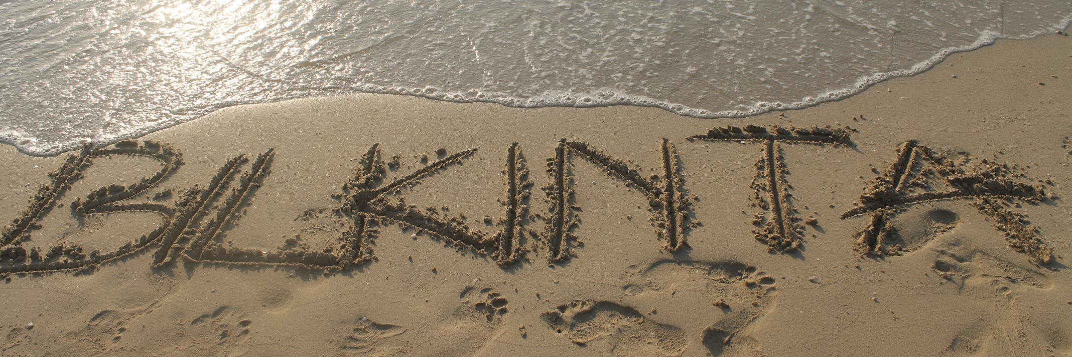 de_blonx's profile banner image