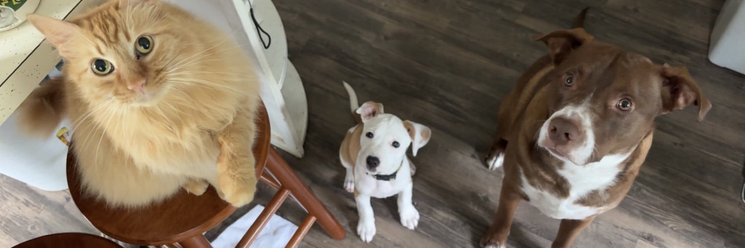 Smithims's profile banner image