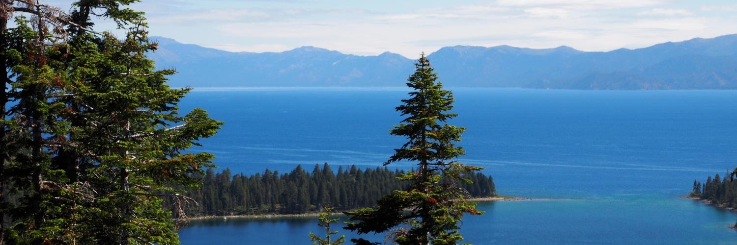 Michael Wiley banner