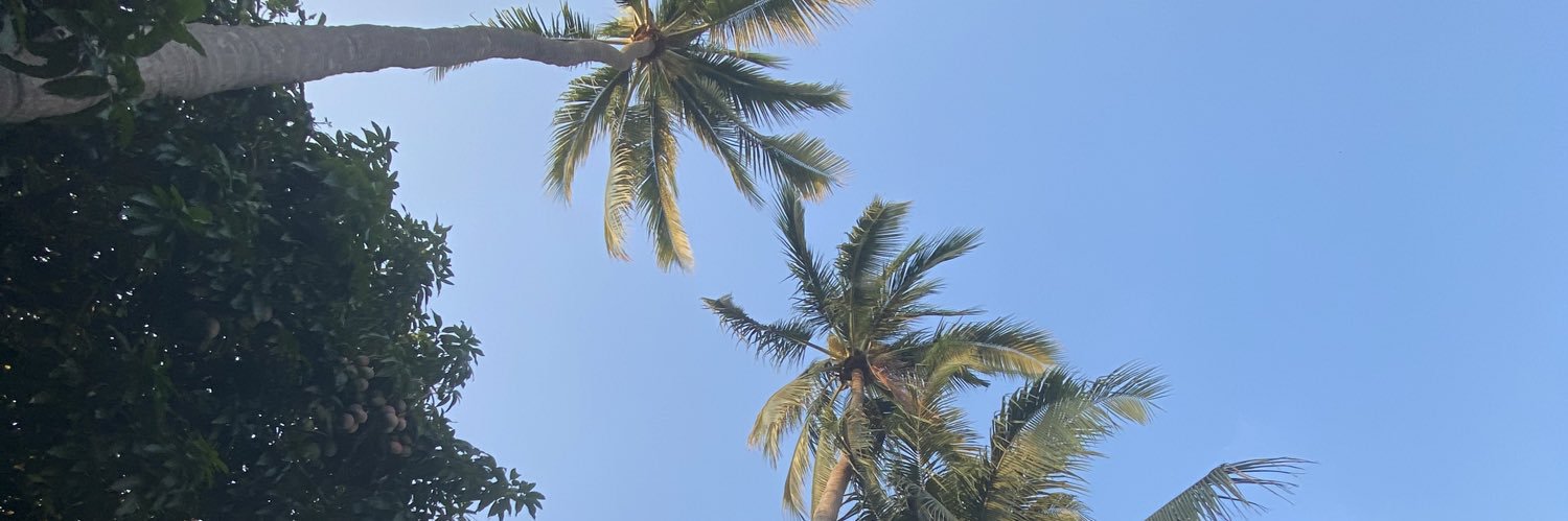 Rodivaje's profile banner image