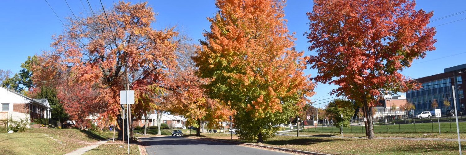 Pipat Piewngam, PhD banner