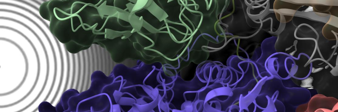 The Chowdhury Lab banner