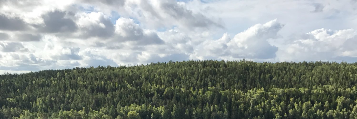 lucashederberg's profile banner image
