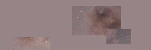 微醺的魚🐠 banner