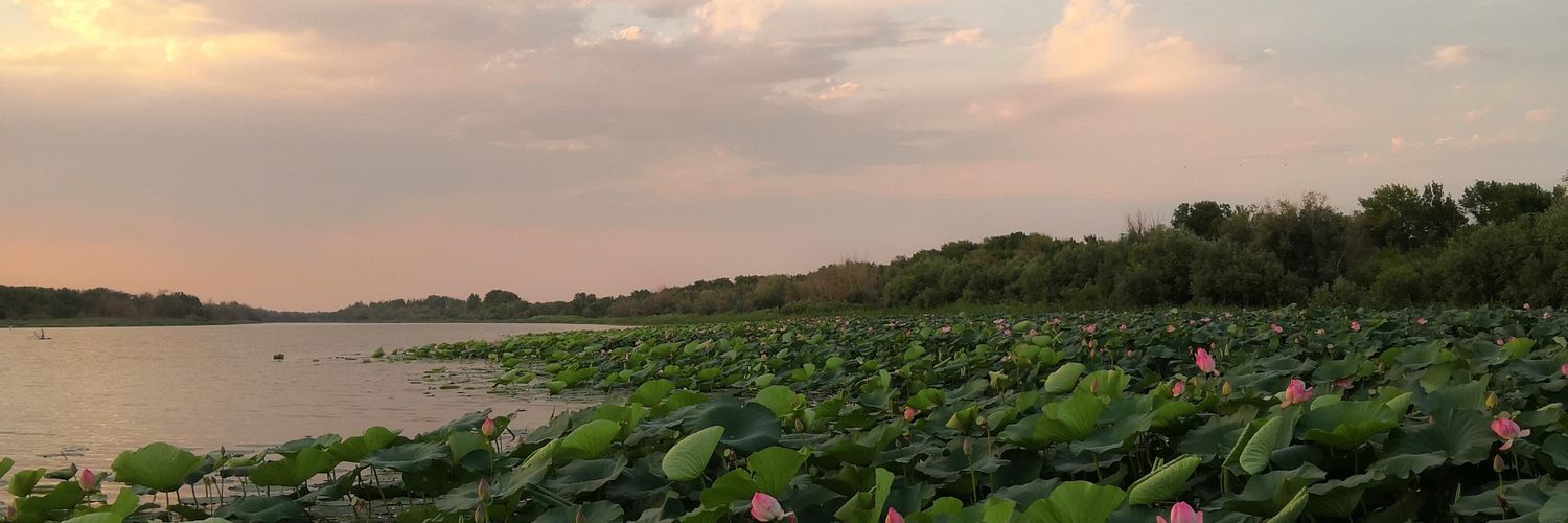 крольковский banner